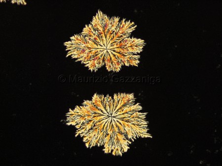 Bicarbonato di sodio