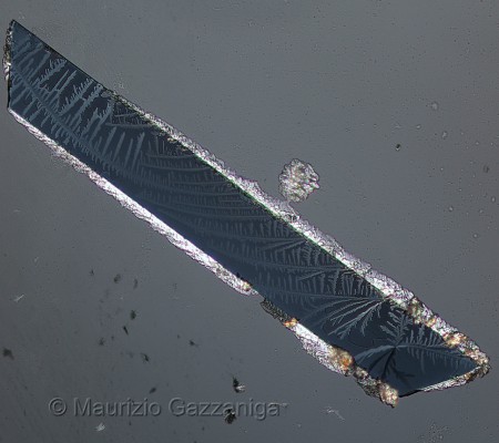 Bitartrato di potassio